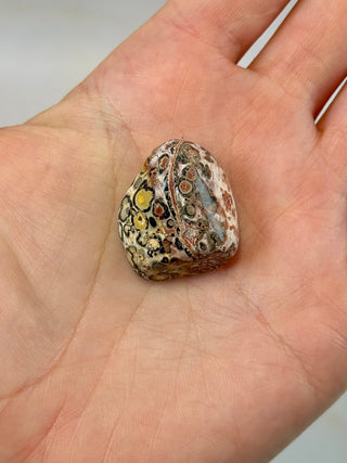 LEOPARD JASPER (5) Tumble Stone The Crystal Avenues 