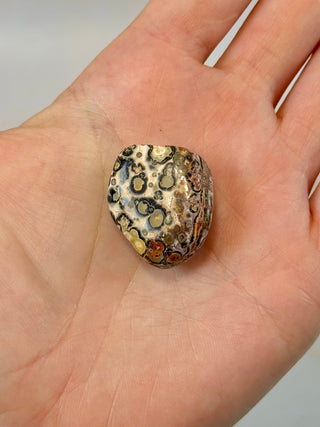 LEOPARD JASPER (5) Tumble Stone The Crystal Avenues 