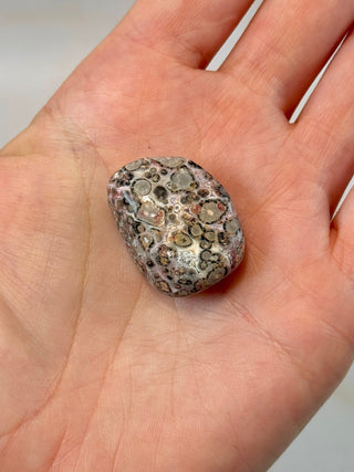 LEOPARD JASPER (6) Tumble Stone The Crystal Avenues 