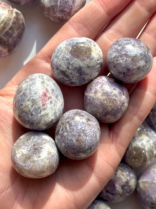 LEPIDOLITE W. PINK TOURMALINE TUMBLE STONE The Crystal Avenues 