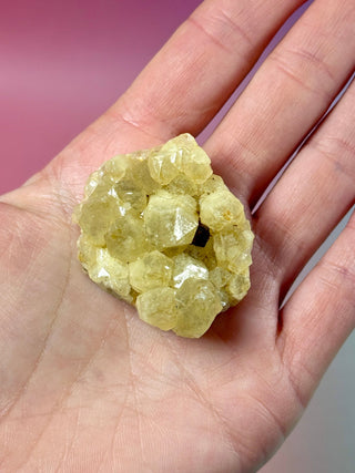 LIMONITE CLUSTER (1) The Crystal Avenues 