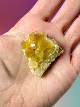 LIMONITE CLUSTER (10) The Crystal Avenues 