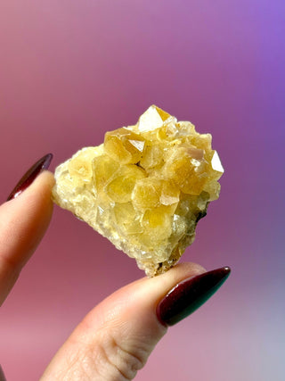 LIMONITE CLUSTER (10) The Crystal Avenues 