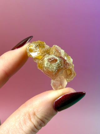 LIMONITE CLUSTER (11) The Crystal Avenues 