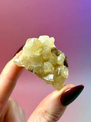 LIMONITE CLUSTER (2) The Crystal Avenues 