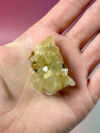 LIMONITE CLUSTER (2) The Crystal Avenues 