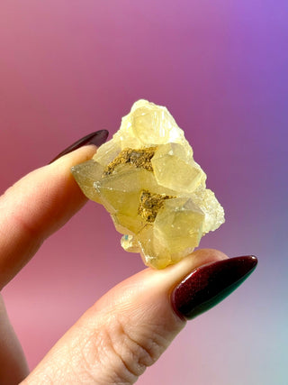 LIMONITE CLUSTER (5) The Crystal Avenues 