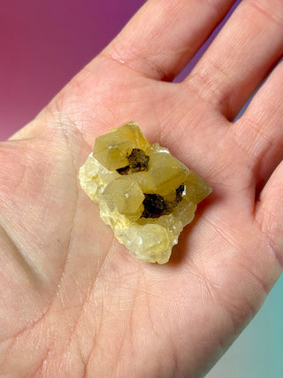 LIMONITE CLUSTER (5) The Crystal Avenues 