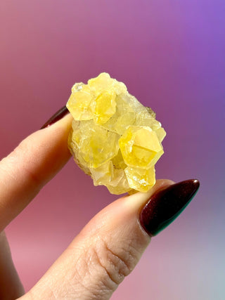 LIMONITE CLUSTER (6) The Crystal Avenues 