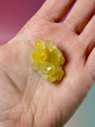 LIMONITE CLUSTER (6) The Crystal Avenues 