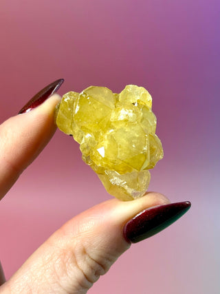 LIMONITE CLUSTER (7) The Crystal Avenues 