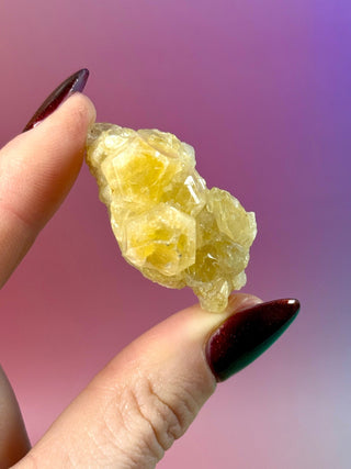 LIMONITE CLUSTER (8) The Crystal Avenues 