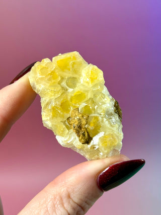 LIMONITE CLUSTER (9) The Crystal Avenues 