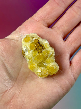 LIMONITE CLUSTER (9) The Crystal Avenues 