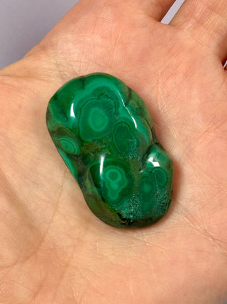 MALACHITE FREEFORM (5) Freeform The Crystal Avenues 