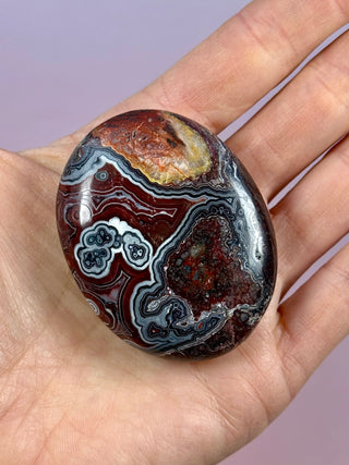MEXICAN LAGUNA LACE AGATE PALM STONE (1) tumble stone The Crystal Avenues 