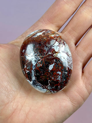 MEXICAN LAGUNA LACE AGATE PALM STONE (4) tumble stone The Crystal Avenues 