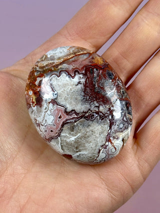 MEXICAN LAGUNA LACE AGATE PALM STONE (4) tumble stone The Crystal Avenues 