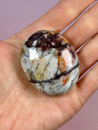 MEXICAN LAGUNA LACE AGATE PALM STONE (7) tumble stone The Crystal Avenues 