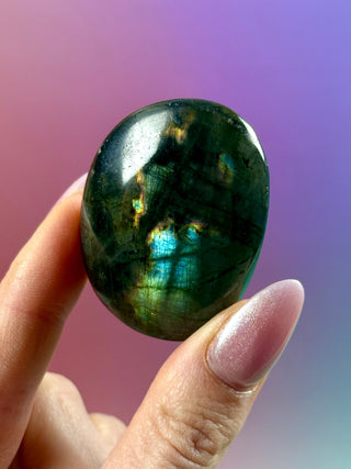 MIDNIGHT LABRADORITE PALM STONE (4) tumble stone The Crystal Avenues 