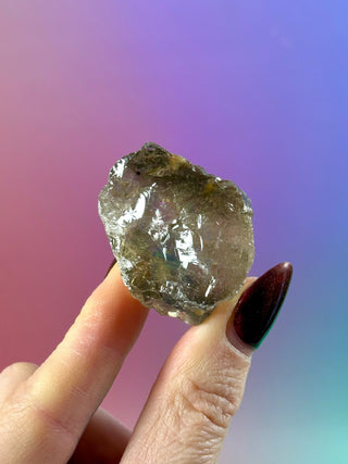 MORION SMOKEY QUARTZ RAW (8) Raw Crystal The Crystal Avenues 