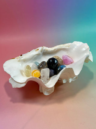 NATURAL SEASHELL (1) Smudge bowl The Crystal Avenues 