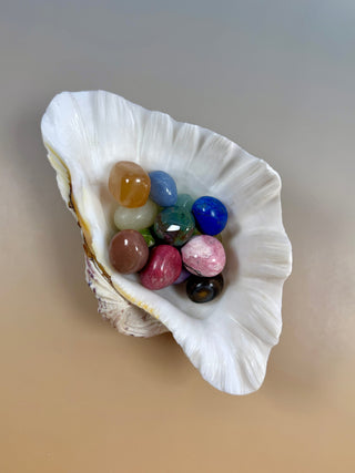 NATURAL SEASHELL (2) Smudge bowl The Crystal Avenues 