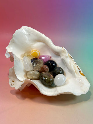 NATURAL SEASHELL (2) Smudge bowl The Crystal Avenues 