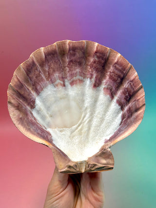 NATURAL SEASHELL (4) Smudge bowl The Crystal Avenues 