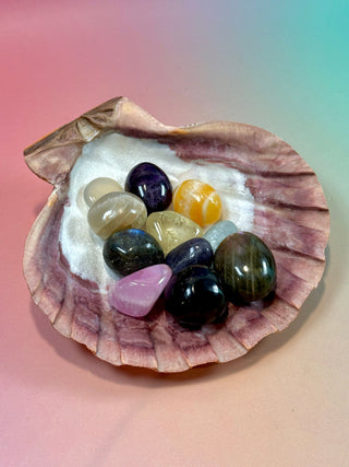 NATURAL SEASHELL (4) Smudge bowl The Crystal Avenues 
