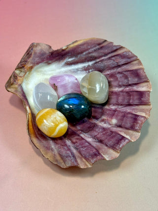 NATURAL SEASHELL (5) Smudge bowl The Crystal Avenues 