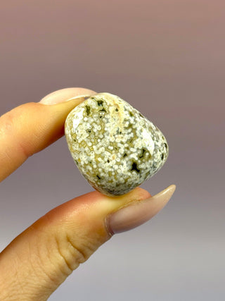 ORBICULAR OCEAN JASPER (1) Tumble Stone The Crystal Avenues 