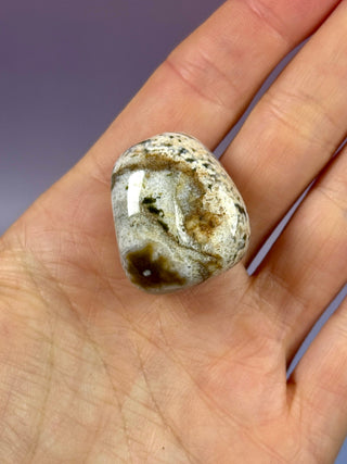 ORBICULAR OCEAN JASPER (1) Tumble Stone The Crystal Avenues 