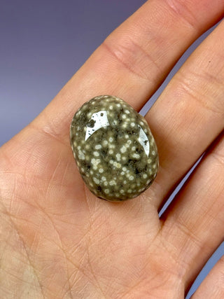 ORBICULAR OCEAN JASPER (10) Tumble Stone The Crystal Avenues 