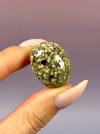 ORBICULAR OCEAN JASPER (10) Tumble Stone The Crystal Avenues 