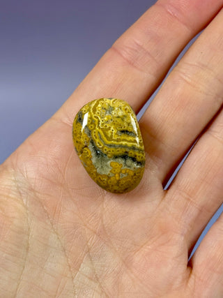 ORBICULAR OCEAN JASPER (11) Tumble Stone The Crystal Avenues 
