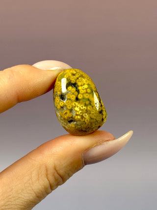 ORBICULAR OCEAN JASPER (11) Tumble Stone The Crystal Avenues 