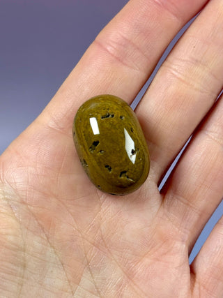 ORBICULAR OCEAN JASPER (12) Tumble Stone The Crystal Avenues 
