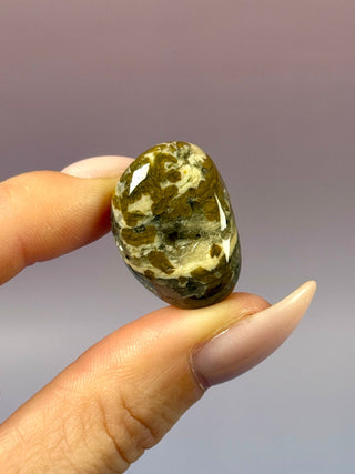 ORBICULAR OCEAN JASPER (13) Tumble Stone The Crystal Avenues 