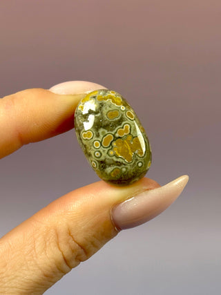 ORBICULAR OCEAN JASPER (14) Tumble Stone The Crystal Avenues 