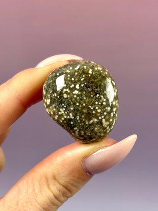 ORBICULAR OCEAN JASPER (2) Tumble Stone The Crystal Avenues 