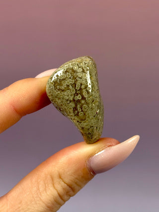 ORBICULAR OCEAN JASPER (3) Tumble Stone The Crystal Avenues 