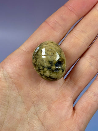ORBICULAR OCEAN JASPER (4) Tumble Stone The Crystal Avenues 