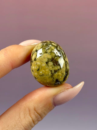 ORBICULAR OCEAN JASPER (4) Tumble Stone The Crystal Avenues 