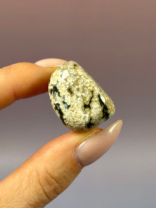 ORBICULAR OCEAN JASPER (5) Tumble Stone The Crystal Avenues 