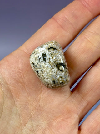 ORBICULAR OCEAN JASPER (5) Tumble Stone The Crystal Avenues 