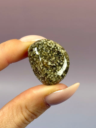 ORBICULAR OCEAN JASPER (6) Tumble Stone The Crystal Avenues 