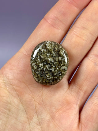 ORBICULAR OCEAN JASPER (6) Tumble Stone The Crystal Avenues 
