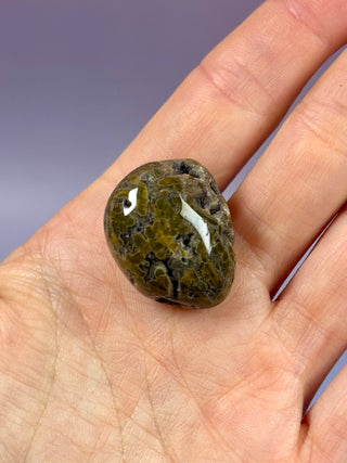 ORBICULAR OCEAN JASPER (7) Tumble Stone The Crystal Avenues 