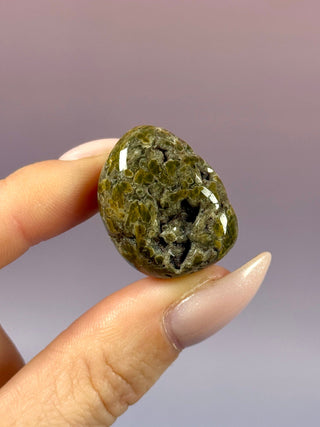 ORBICULAR OCEAN JASPER (7) Tumble Stone The Crystal Avenues 